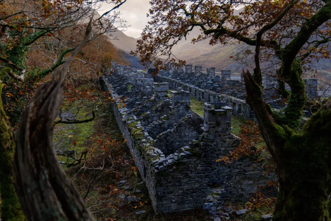 A wide shot of the Anglesey Barracks ruins seen through a canopy of orange and yellow autumn leaves.