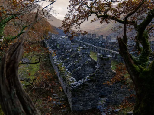 A wide shot of the Anglesey Barracks ruins seen through a canopy of orange and yellow autumn leaves.