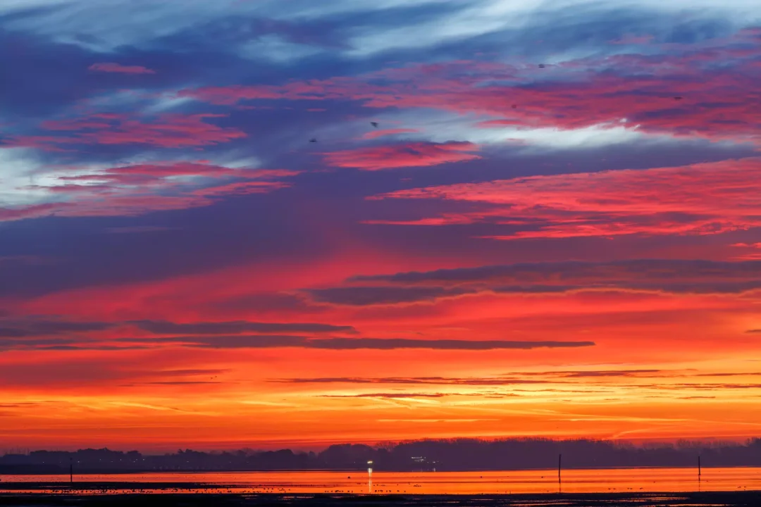 Striking layers of deep magenta, orange, and blue clouds casting a vibrant glow across the calm waters of the harbour.