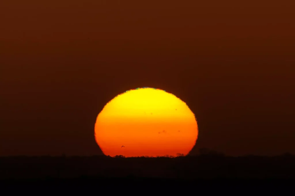 A massive, bright orange and yellow sun rising perfectly round against a dark sky above a silhouette of distant trees.
