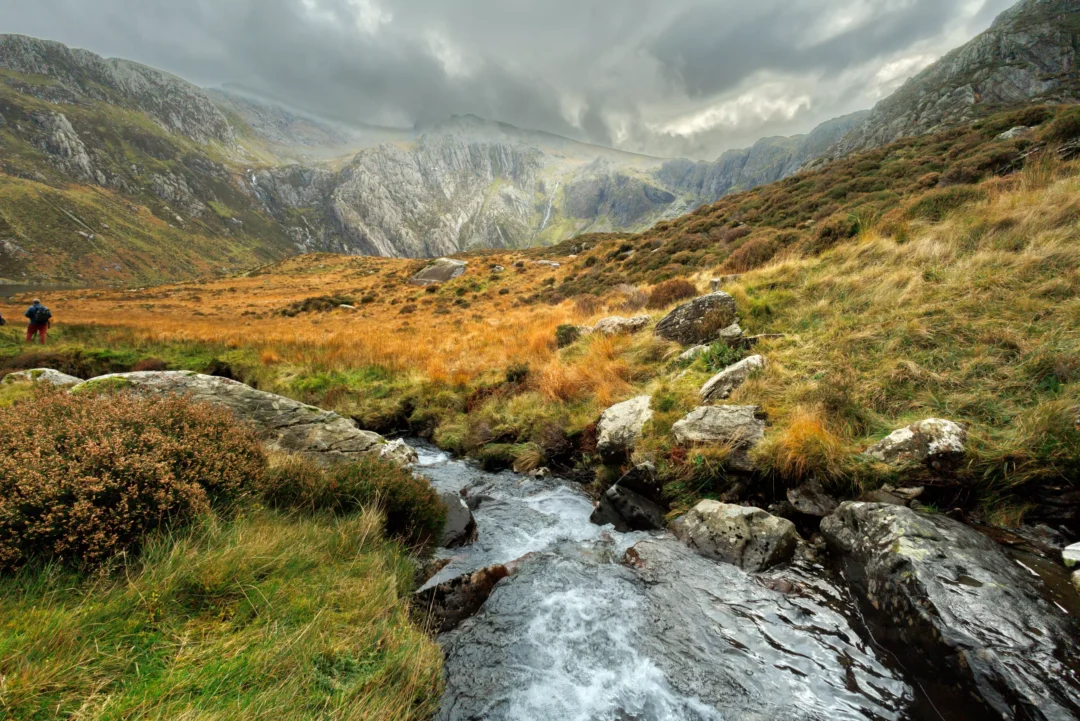 Llyn Idwal in Cwm Idwal, Snowdonia, with the cliffs of the Devil's Kitchen reflected in the still water and autumn grasses on the near shore under an overcast sky