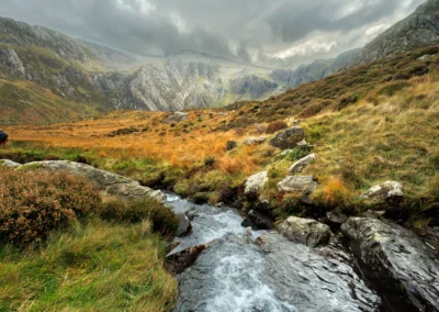 Llyn Idwal in Cwm Idwal, Snowdonia, with the cliffs of the Devil's Kitchen reflected in the still water and autumn grasses on the near shore under an overcast sky