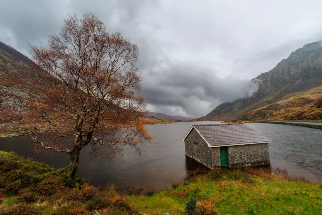 The stone boathouse on the shore of Llyn Ogwen, Snowdonia, with an autumn birch tree beside it and storm clouds over the valley
