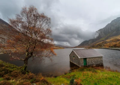 The stone boathouse on the shore of Llyn Ogwen, Snowdonia, with an autumn birch tree beside it and storm clouds over the valley