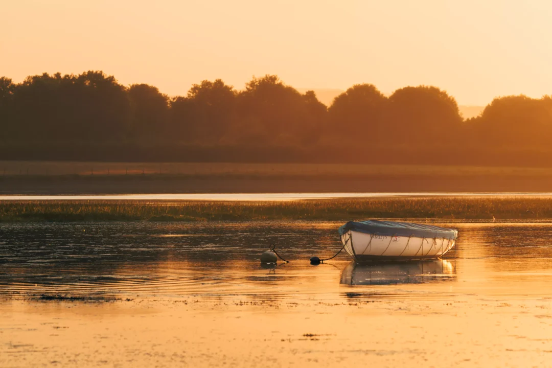 A small white boat floating on shimmering amber water with a soft-focus tree line silhouetted in the background.