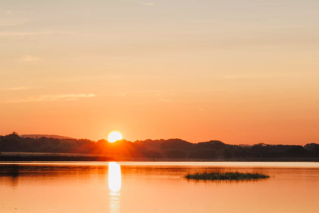 The sun breaking over a dark, tree-lined coast, casting a long golden reflection across the still sea.