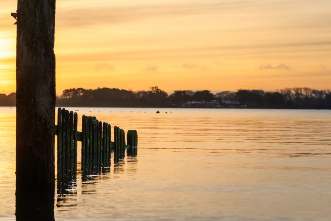 A line of mossy wooden sea defences stretching into calm water under a soft yellow and amber sunrise sky.