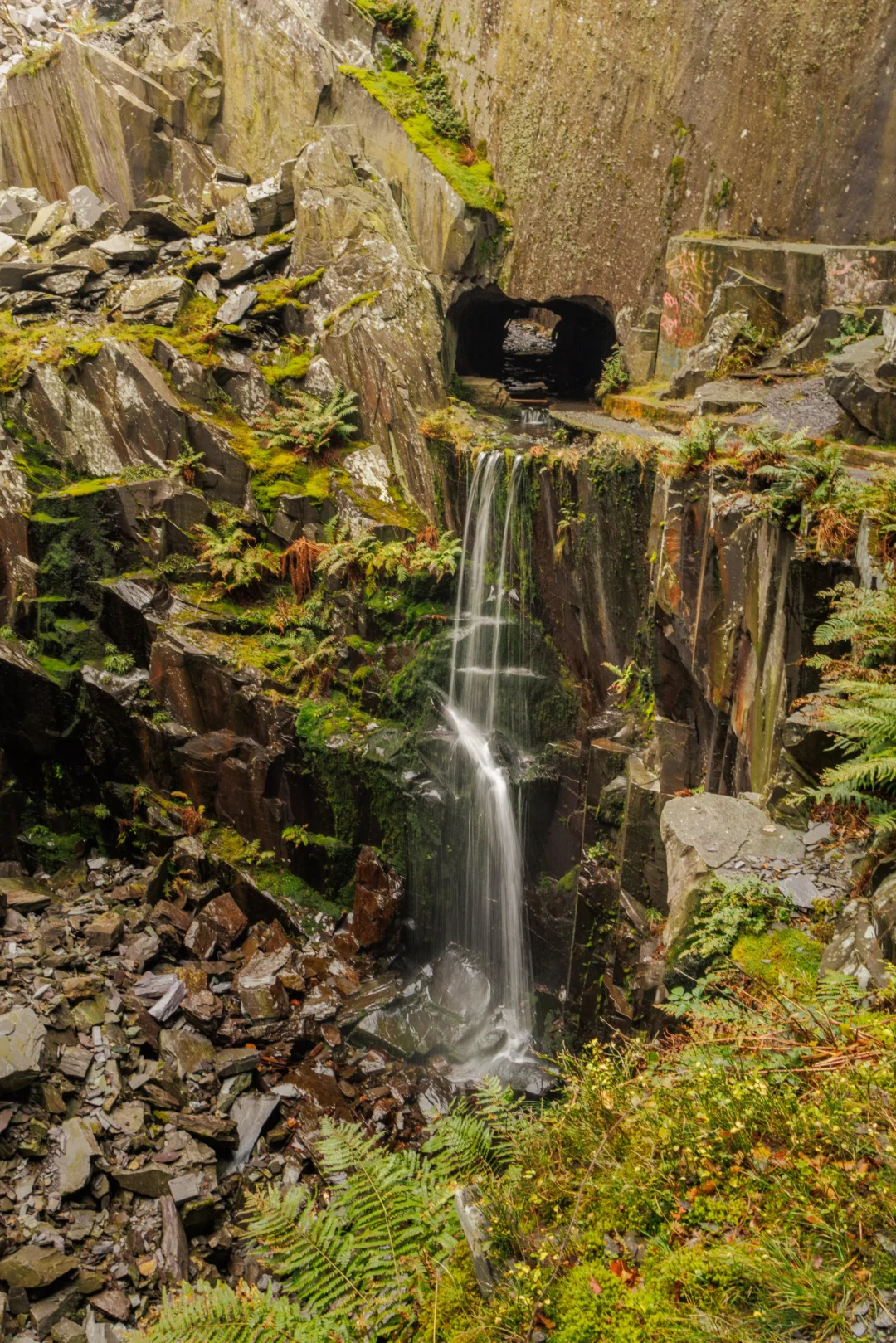 Dark rectangular tunnel entrances in a steep slate rock face with green ferns growing in the wet crevices.