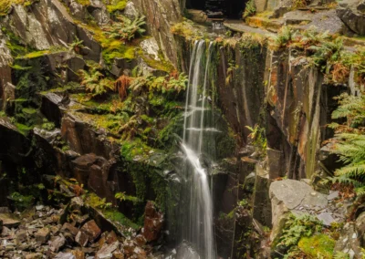 Dark rectangular tunnel entrances in a steep slate rock face with green ferns growing in the wet crevices.