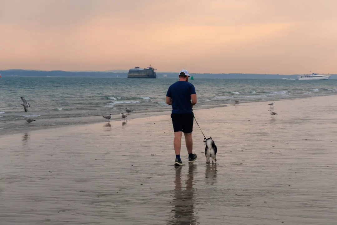 Southsea Dog Walker Shoreline Dusk, Southsea and Old Portsmouth, Hampshire