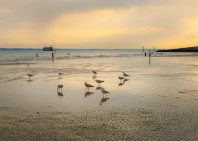 A group of seagulls dots the wet, rippled sand at low tide under a warm, hazy orange evening sky.