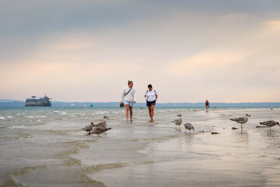 Southsea Walkers Strolling Past Gulls, Southsea and Old Portsmouth, Hampshire