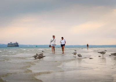 Two walkers paddle barefoot through shallow waves at the water's edge, surrounded by resting seagulls.