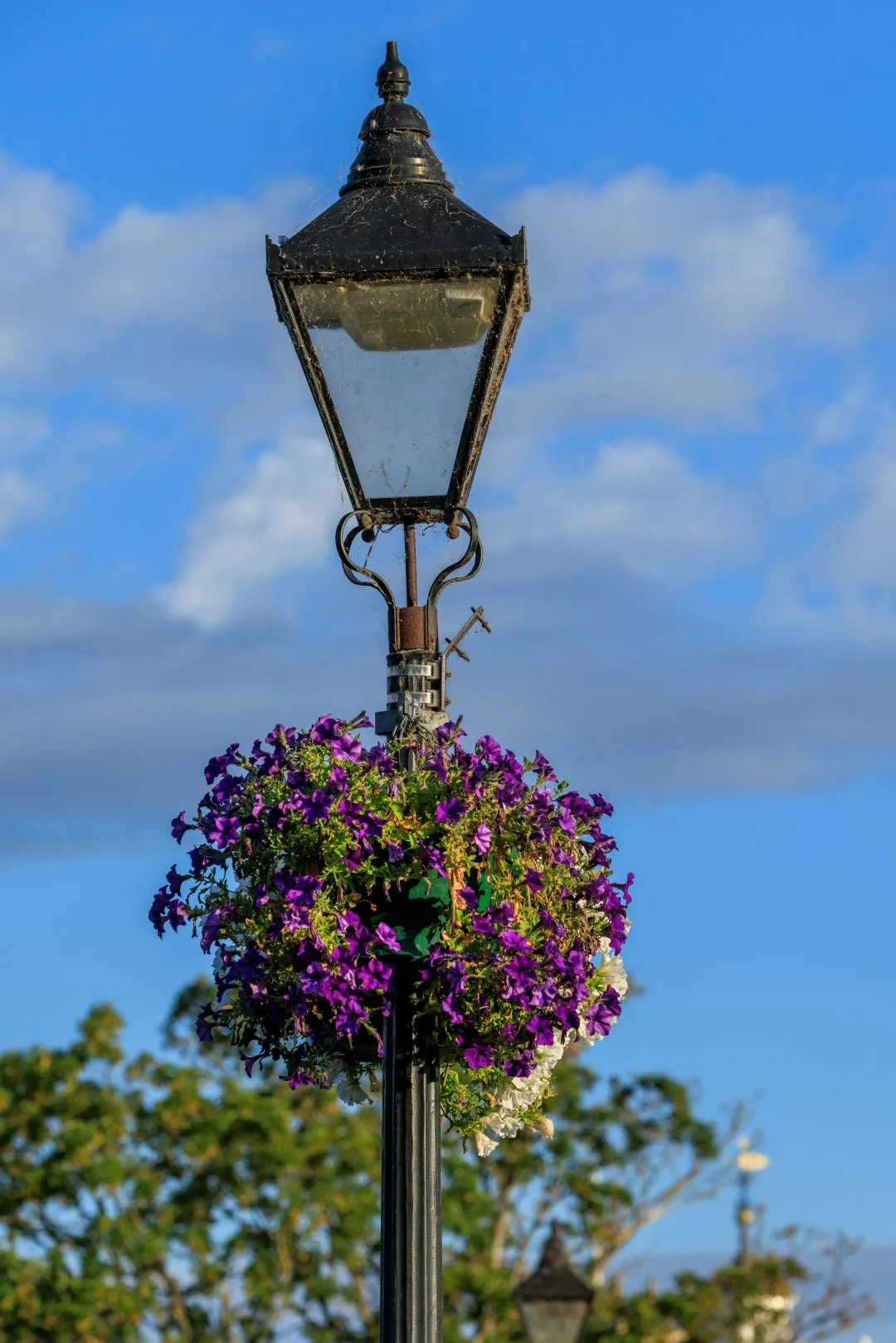 Lamppost flower basket with church spire, Abingdon, Oxfordshire