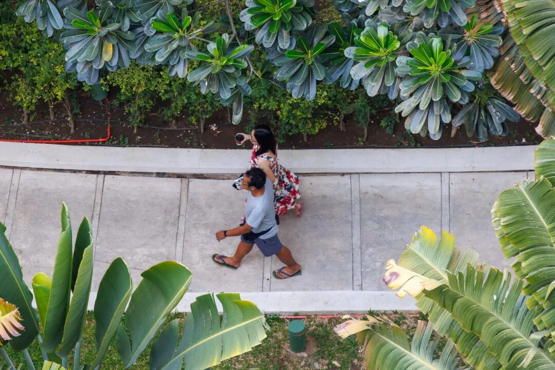 Aerial couple garden path manila
