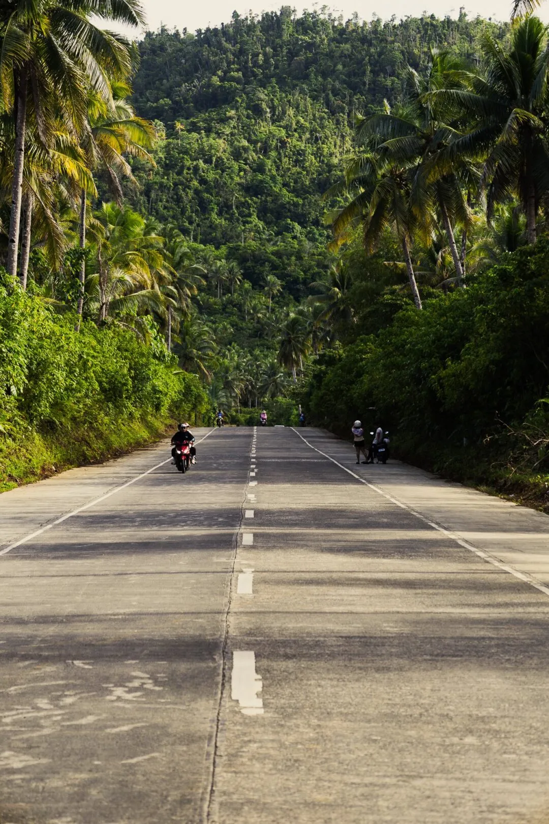 Atmospheric palm lined road motorbikes siargao