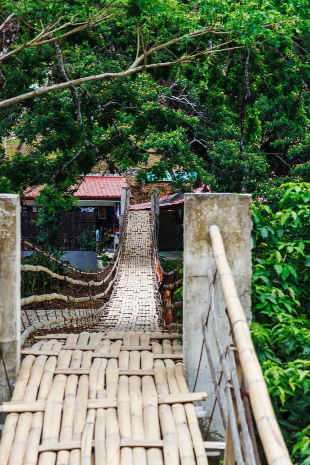 Bamboo suspension bridge symmetry bohol
