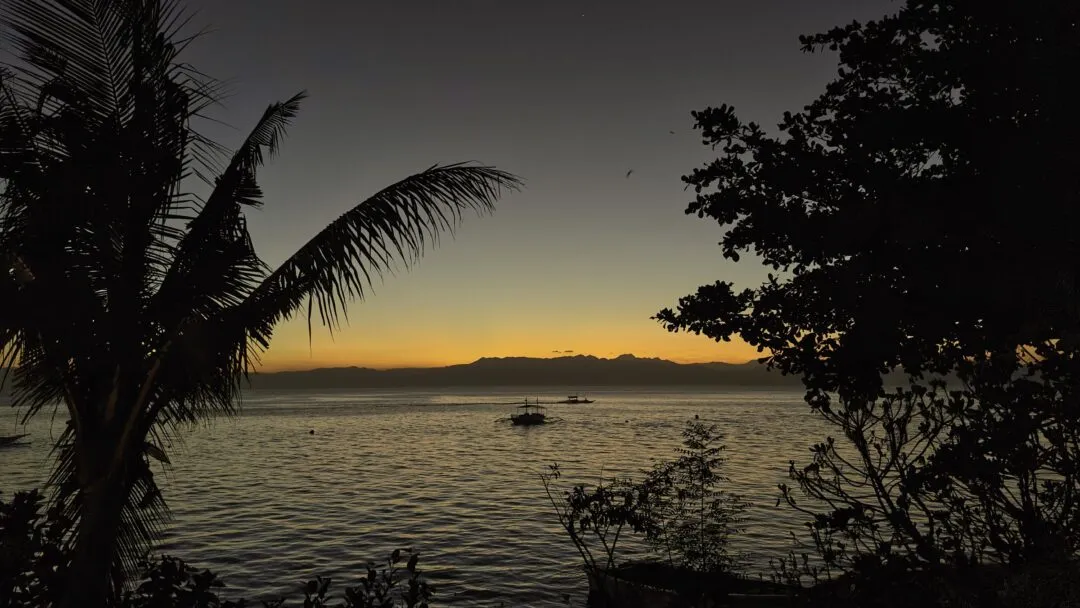 Blue hour palm frond distant boats cebu