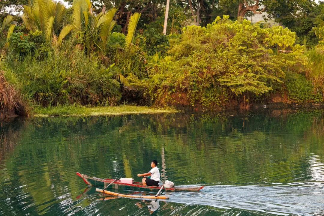 Boatman paddling green river channel bohol