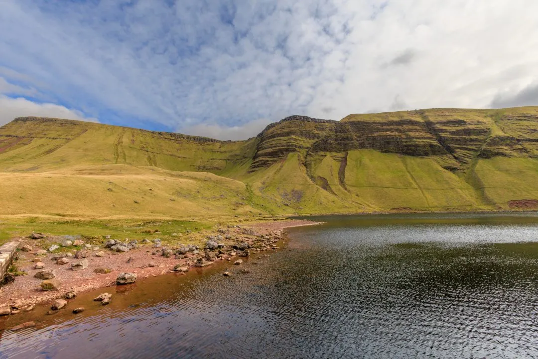 Mare and foal grazing mountain, the Brecon Beacons, Wales