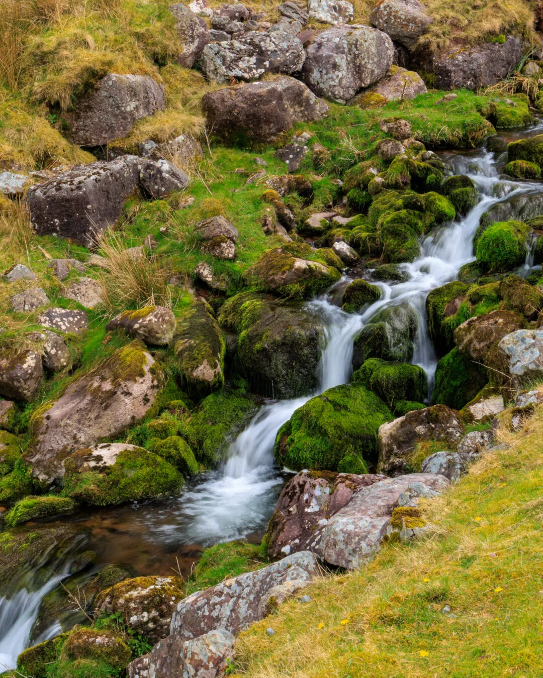 Mossy cascade vertical, the Brecon Beacons, Wales