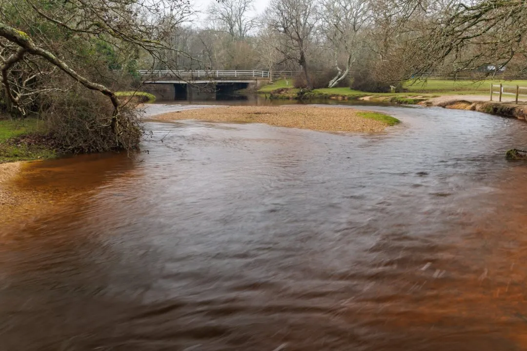 Brockenhurst river ford