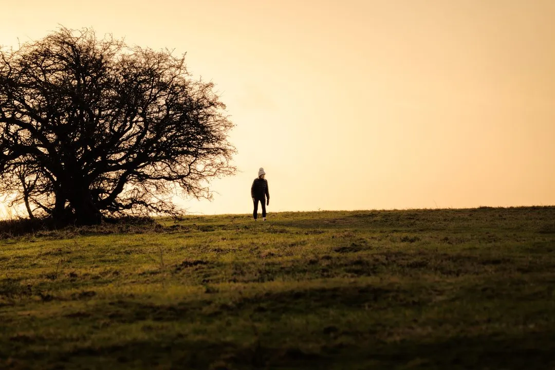 Hilltop walker lone tree silhouette, Butser Hill, Hampshire