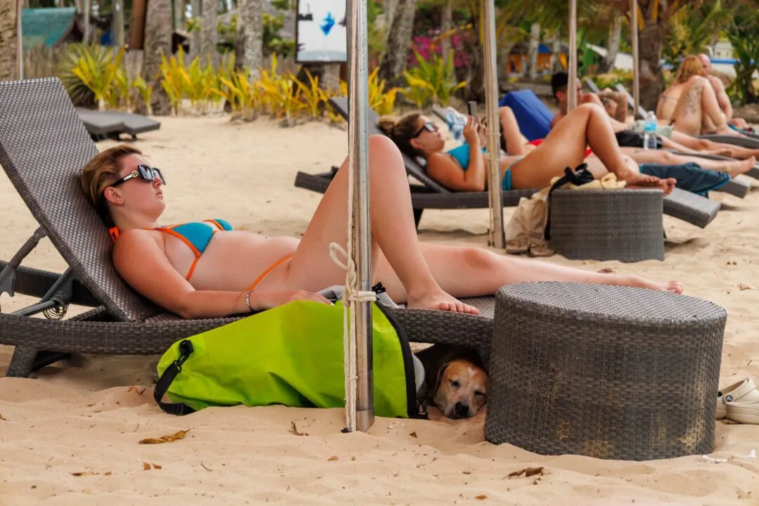 Candid sunbather dog lounger El Nido