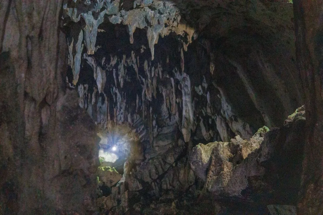 Cave light shaft stalactites bohol