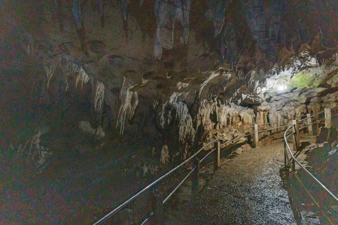 Cave walkway stalactite ceiling bohol