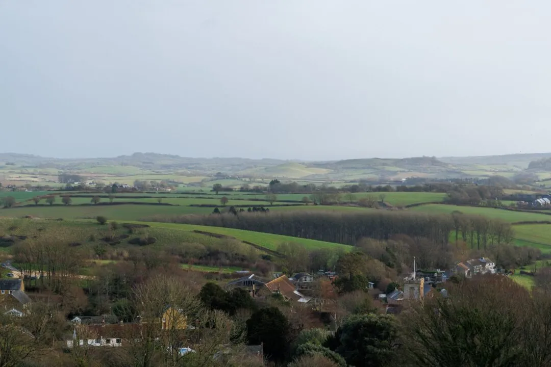 Colmer's Hill bridport view