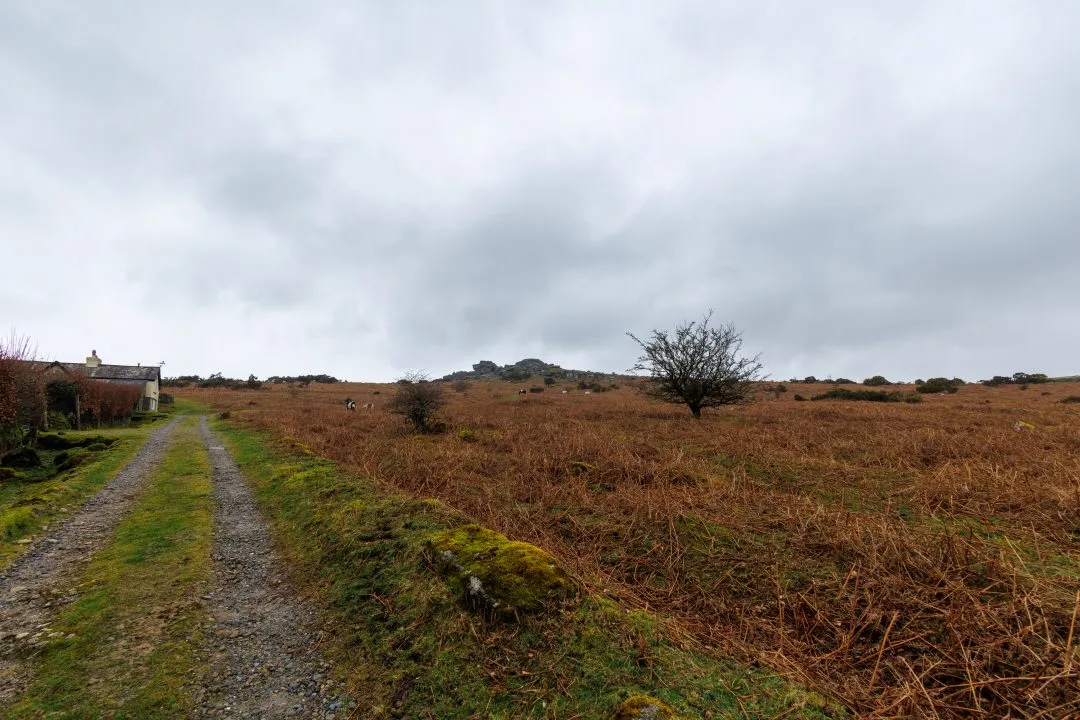 Farmhouse track ponies tor, Dartmoor, Devon