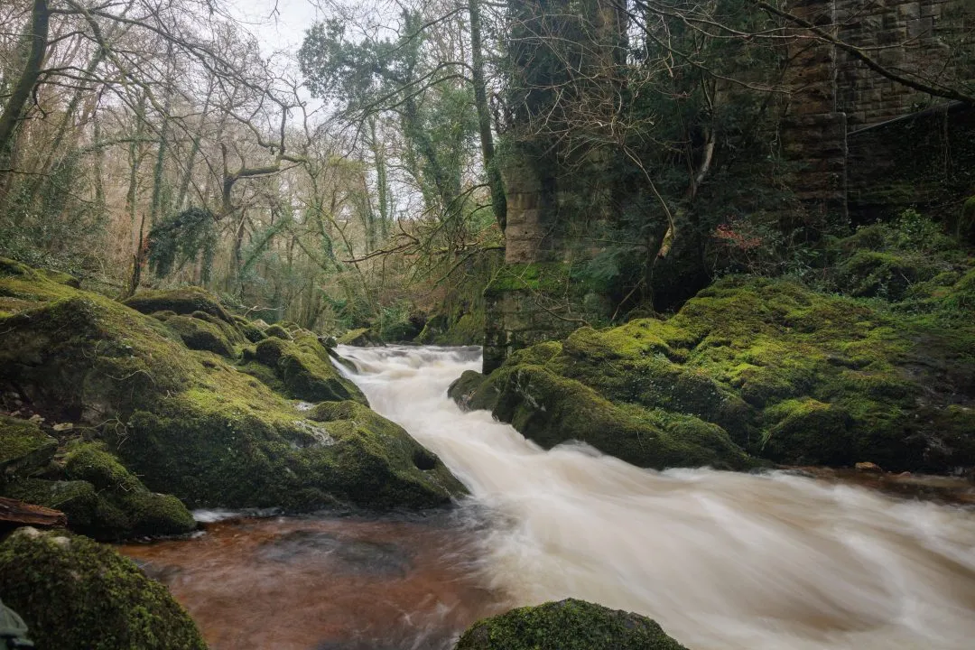 Woodland waterfall mill ruins, Dartmoor, Devon