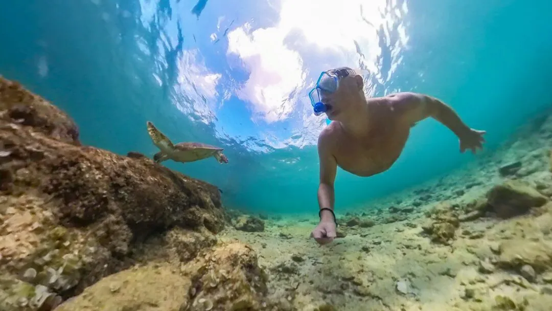 Diver reaching towards turtle wide angle cebu