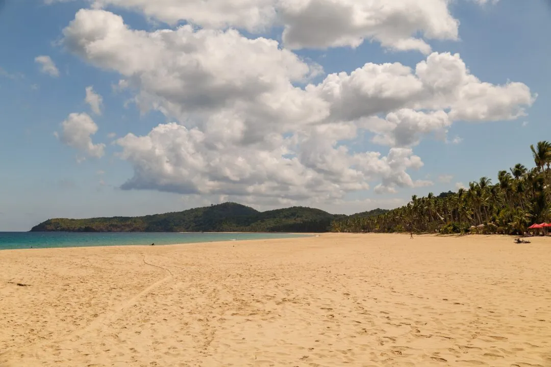 Dramatic cloudscape palm framed beach driftwood El Nido