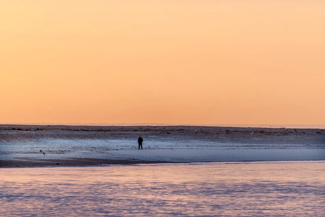 Sandbar walker dog silhouette, Eastney