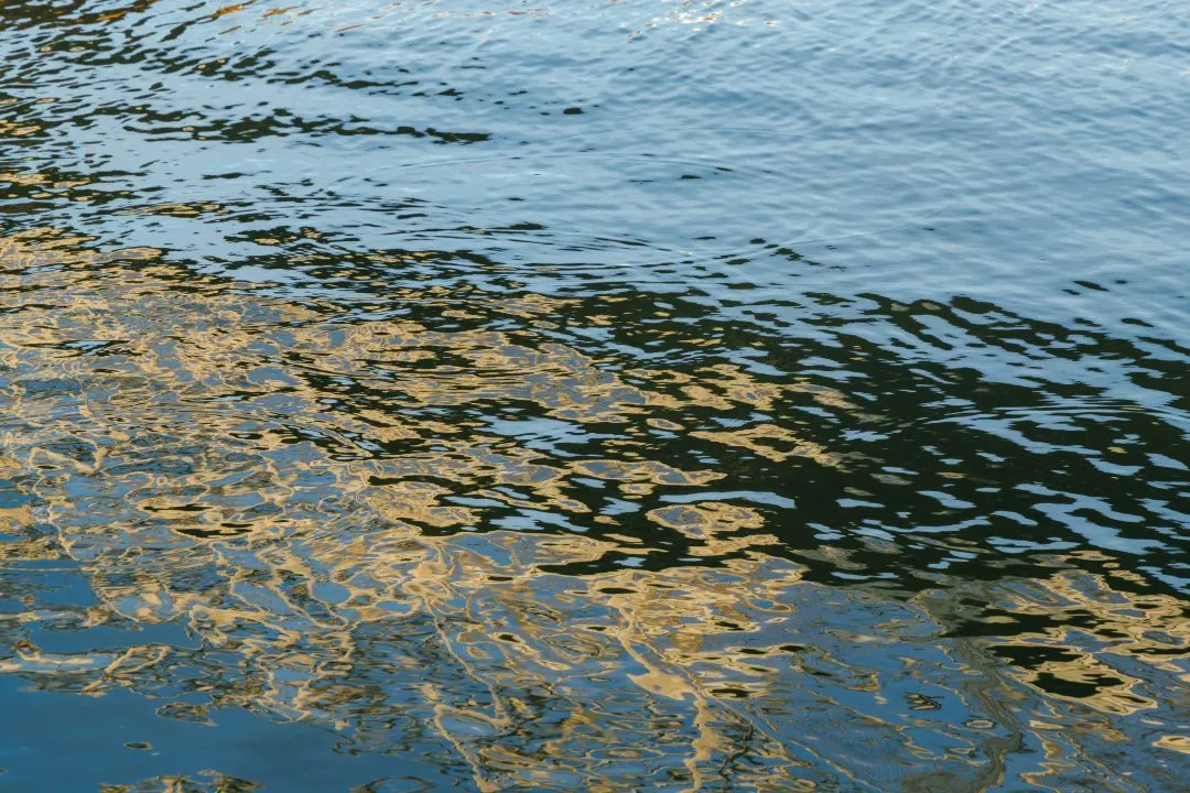 Water reflection abstract gold, Eastney