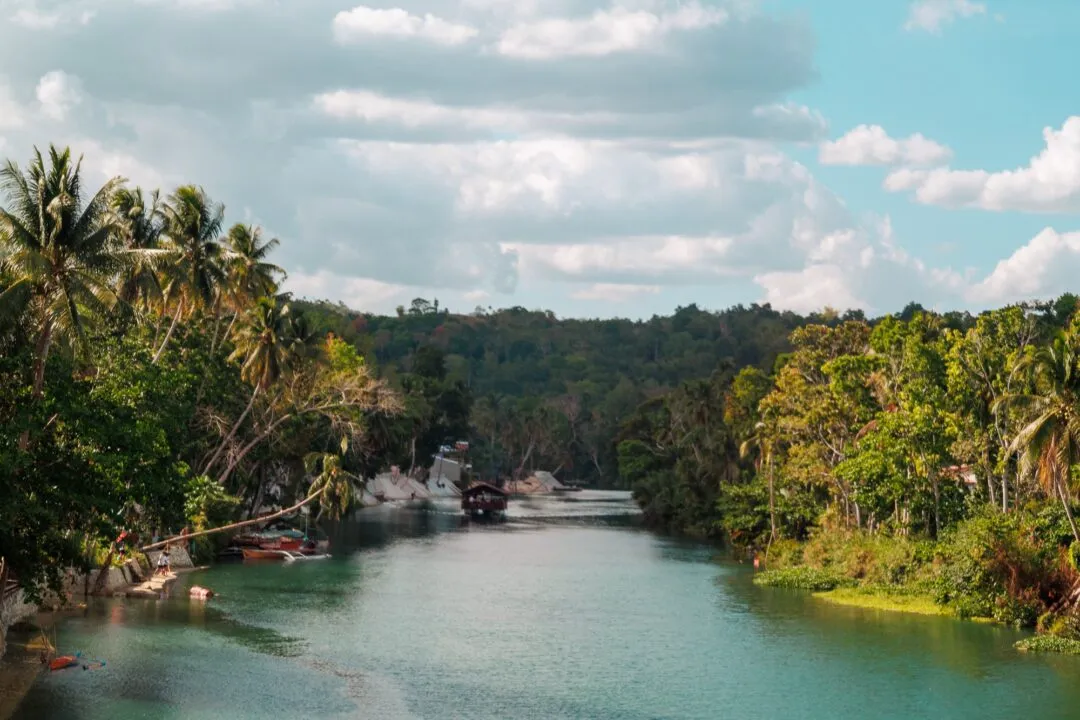 Elevated river view jungle boats bohol