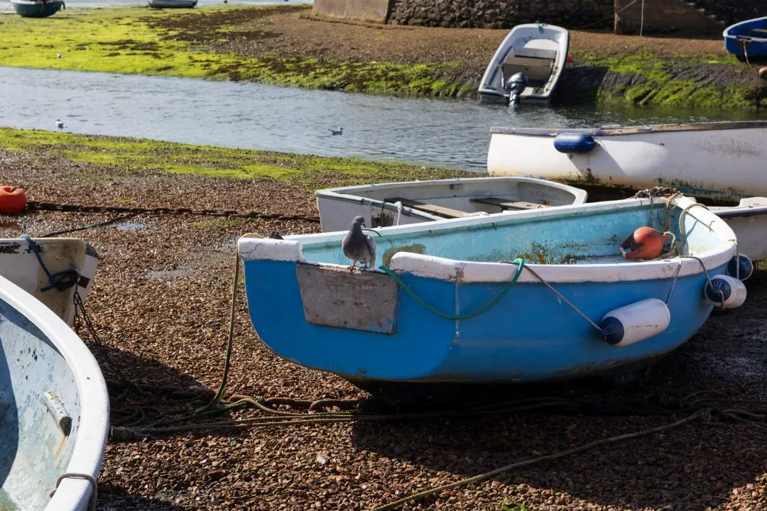 Blue dinghy pigeon, Emsworth