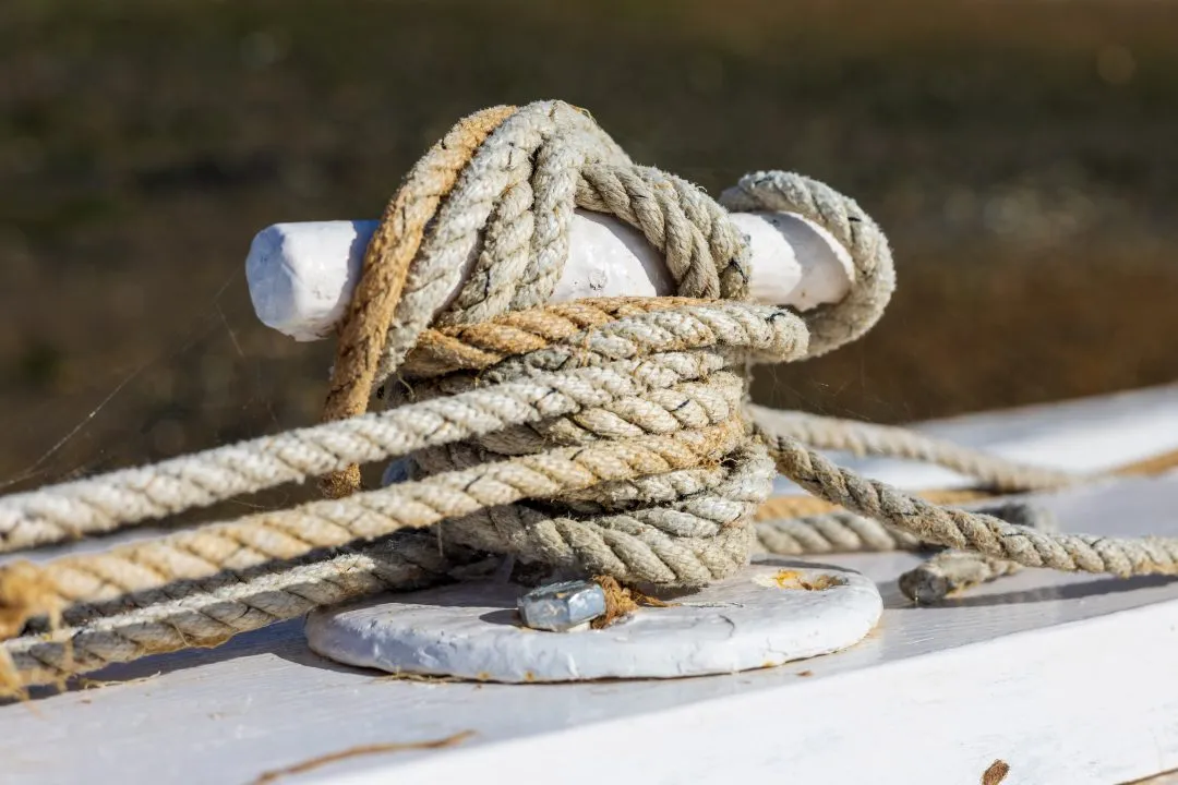 Rope cleat macro, Emsworth
