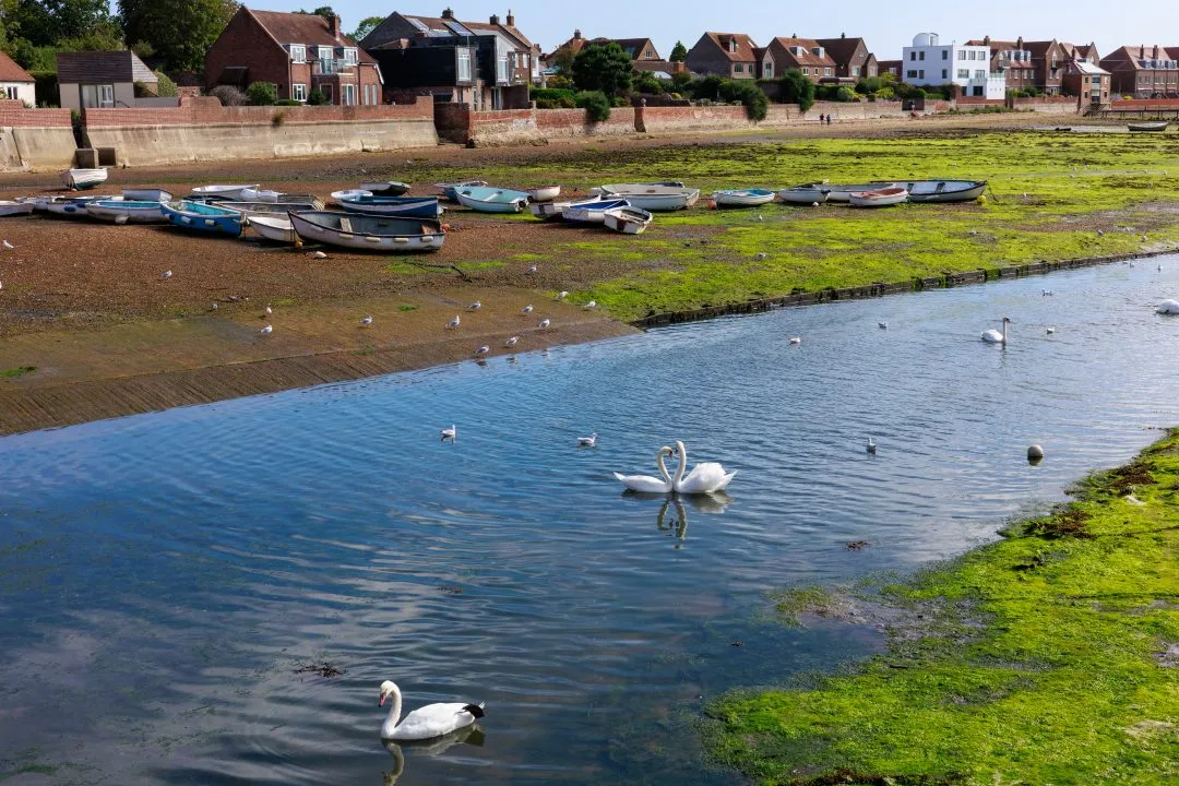 Swan heart harbour view, Emsworth