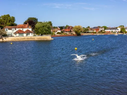 Emsworth 50mm Workshop Photography