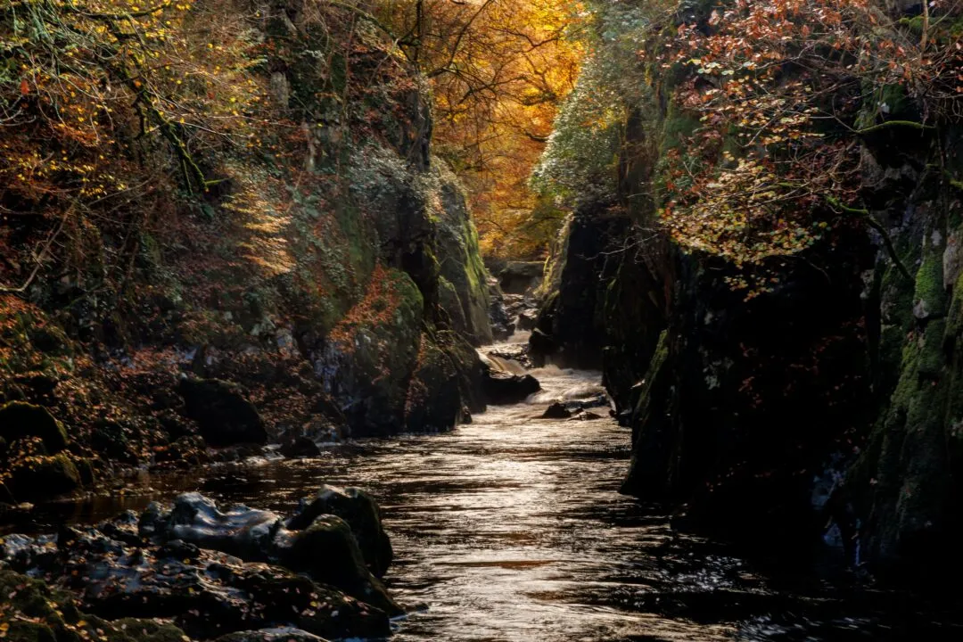 Fairy glen gorge narrow