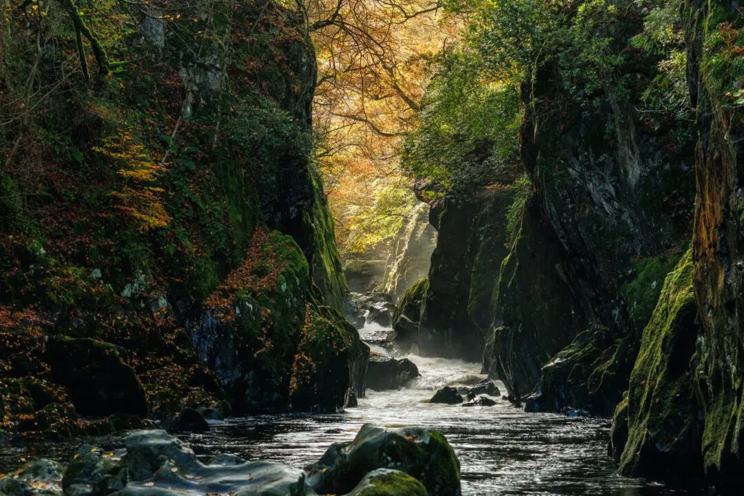 Fairy glen gorge shadow