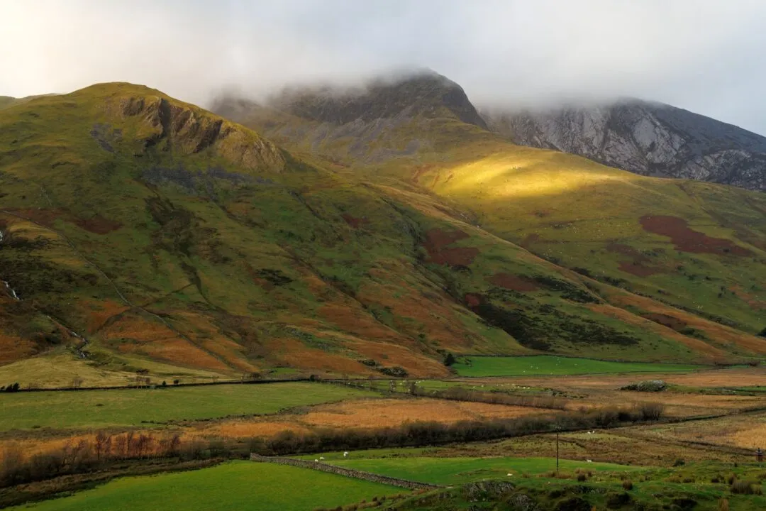 Fairy glen hillside light