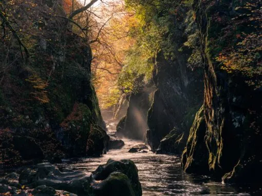 Fairy Glen Photography