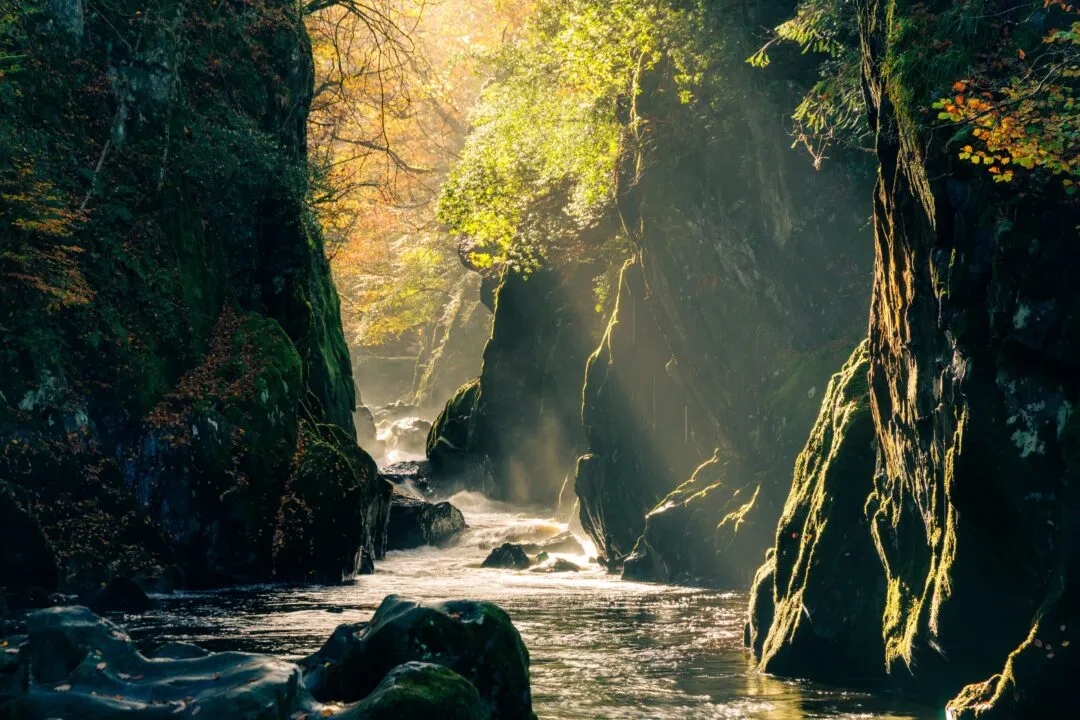 Fairy glen light shafts wide