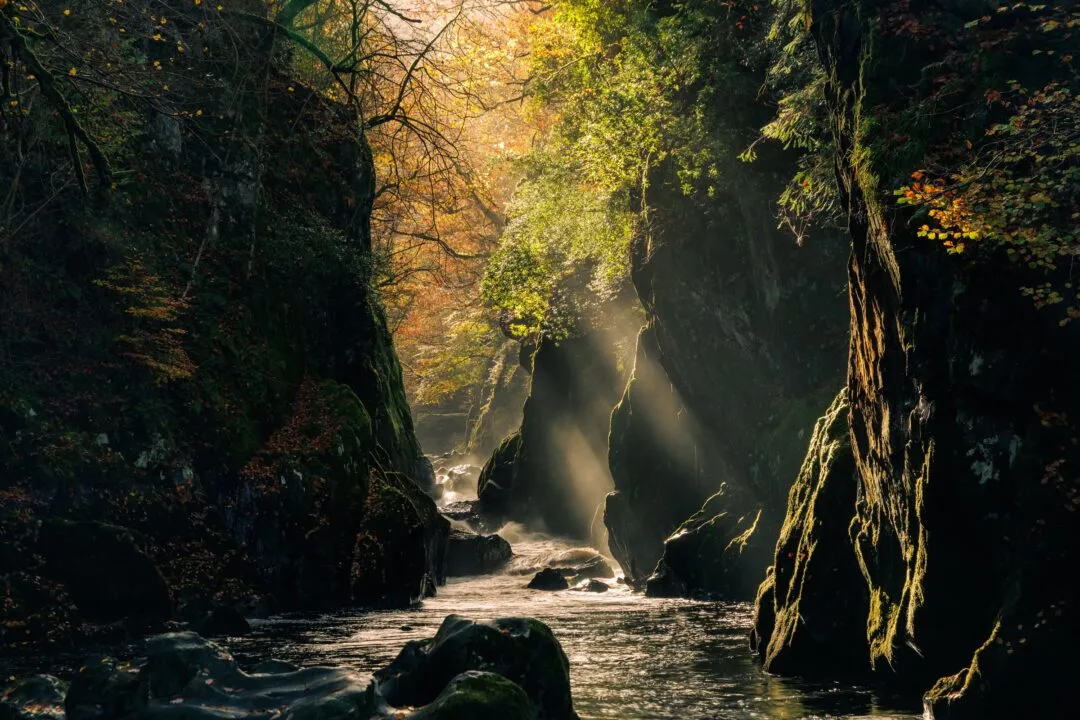 Fairy glen mist light rays