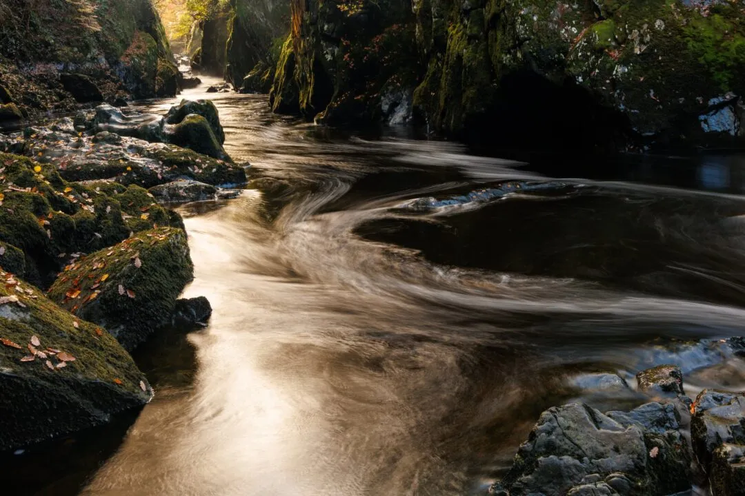 Fairy glen stream golden light