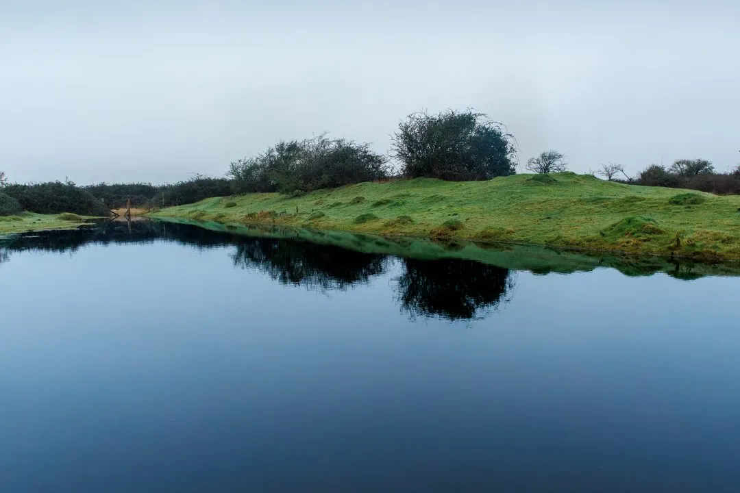 Still pond reflection, Farlington Marshes